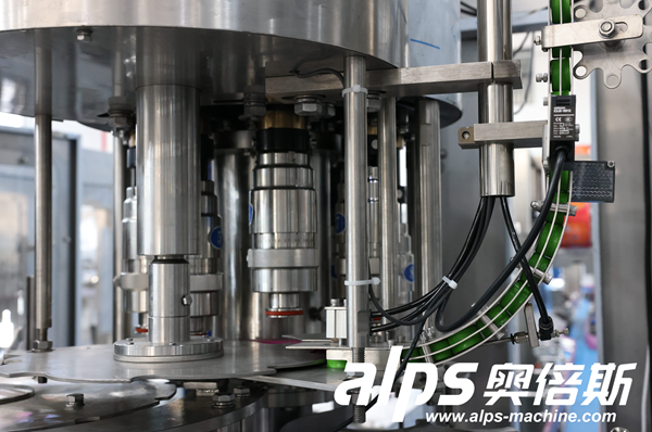 multi-head-rotary-capping-machine-assembly.png