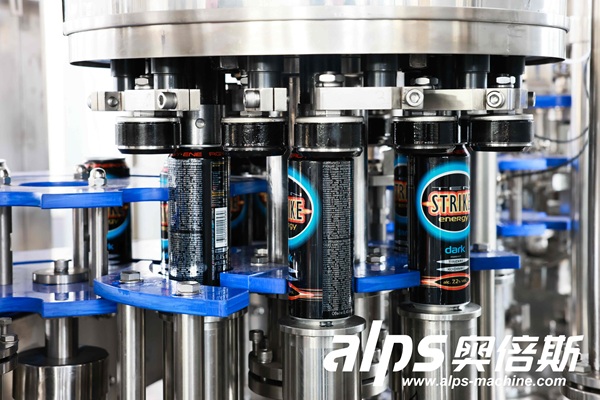 Rotary beverage filling machine with multiple filling valves