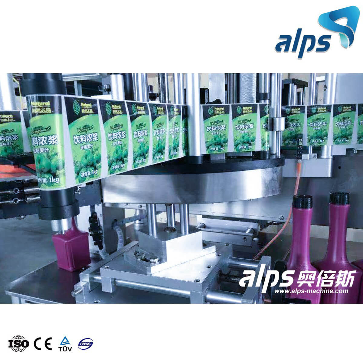 Automatic Bottle Self Adhesive Position Labeling Machine (Model:DWT06)